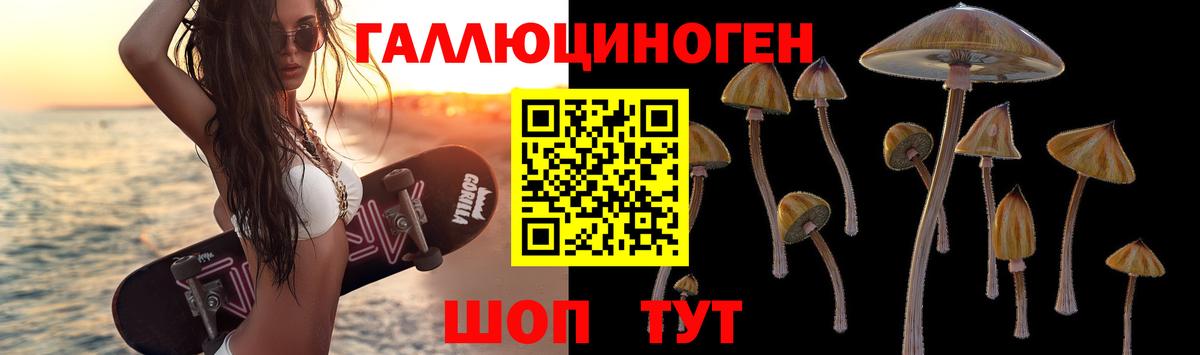 Псилоцибиновые грибы Cubensis  Вход с VPN  Грязи 